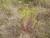 Img.VTax1746.Ex2.Img2