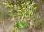 Img.VTax1746.Ex2.Img3
