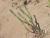 Img.VTax1747.Ex1.Img1