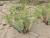 Img.VTax1747.Ex1.Img2