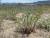 Img.VTax1747.Ex1.Img3
