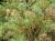 Img.VTax1748.Ex2.Img1