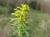 Img.VTax1748.Ex2.Img2