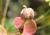 Img.VTax1748.Ex2.Img9