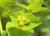 Img.VTax1752.Ex1.Img4