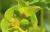 Img.VTax1752.Ex1.Img5