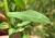 Img.VTax1752.Ex1.Img6