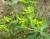 Img.VTax1752.Ex1.Img7