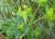 Img.VTax1752.Ex1.Img8
