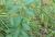 Img.VTax1752.Ex1.Img9