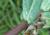 Img.VTax1752.Ex2.Img2