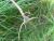 Img.VTax1752.Ex2.Img3