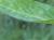 Img.VTax1752.Ex2.Img5