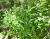 Img.VTax1756.Ex2.Img1