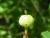 Img.VTax1756.Ex2.Img3