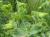 Img.VTax1764.Ex1.Img2