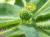 Img.VTax1764.Ex1.Img3