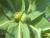 Img.VTax1764.Ex1.Img4