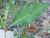 Img.VTax1816.Ex1.Img10