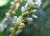 Img.VTax1816.Ex1.Img9