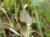 Img.VTax1827.Ex2.Img5