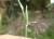 Img.VTax1827.Ex2.Img7