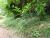 Img.VTax1831.Ex1.Img2