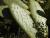 Img.VTax1843.Ex1.Img3