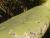 Img.VTax1843.Ex1.Img4