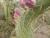Img.VTax1845.Ex2.Img4