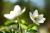 Img.VTax188.Ex3.Img1