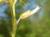 Img.VTax1925.Ex1.Img1