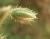 Img.VTax1925.Ex1.Img2
