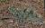 Img.VTax1986.Ex2.Img2