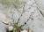 Img.VTax1995.Ex2.Img1