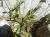 Img.VTax1995.Ex2.Img2