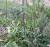 Img.VTax2001.Ex1.Img2