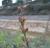 Img.VTax2001.Ex1.Img3
