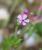 Img.VTax2018.Ex1.Img3