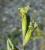 Img.VTax2022.Ex1.Img1