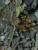 Img.VTax2022.Ex1.Img5