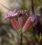 Img.VTax2032.Ex1.Img2