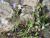 Img.VTax2033.Ex1.Img3
