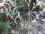 Img.VTax2033.Ex1.Img4