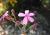 Img.VTax2033.Ex1.Img7