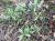 Img.VTax2033.Ex1.Img8