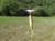 Img.VTax2039.Ex3.Img1