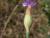 Img.VTax2039.Ex3.Img2