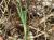 Img.VTax2039.Ex3.Img3