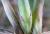 Img.VTax2049.Ex1.Img2